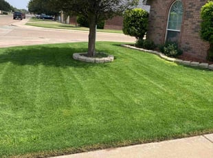 John G.'s Lawn Mowing Service service result
