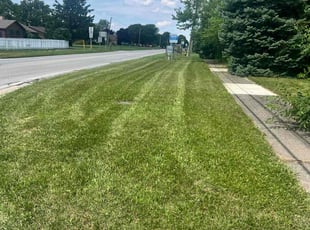 John H.'s Lawn Service service result
