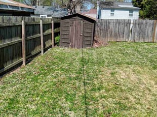 Ricky F.'s Yard Cutting service result
