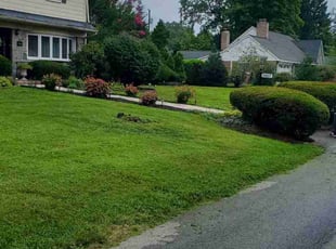 Valarie E.'s Lawn Mowing service result