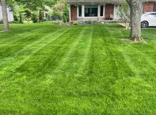 Donna B.'s Yard Cutting service result