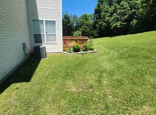 Meredith E.'s Lawn Mowing Service service result