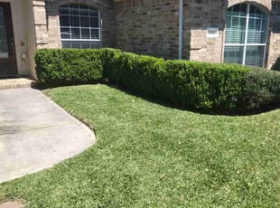 Larry R.'s Lawn Mowing service result