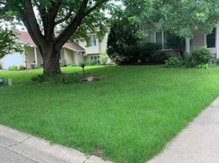 Carol M.'s Lawn Care service result