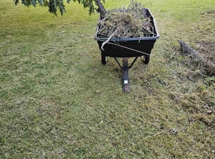 Cleanups by Thomas Quinn for Rebecca H. in Rochester, NY