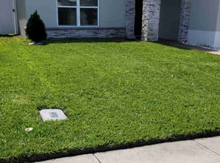 Bob D.'s Lawn Mowing Service service result