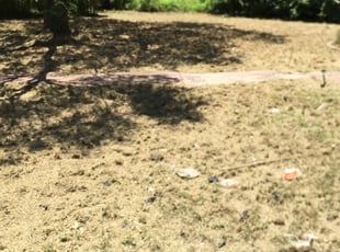 Cleanups by Rodrigo Diaz for Adrianne T. in San Antonio, TX
