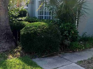 Landscaping by James Stuckey for Veronica C. in Ocoee, FL