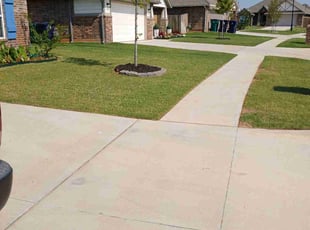 Barbara W.'s Lawn Mowing service result