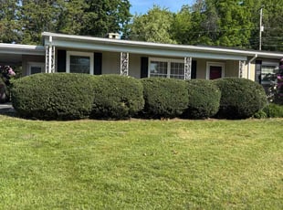 Maria O.'s Lawn Mowing service result