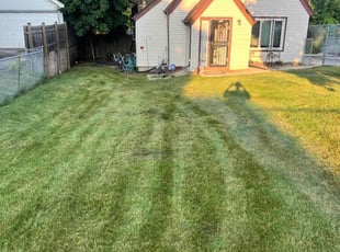Jenny S.'s Lawn Mowing Service service result
