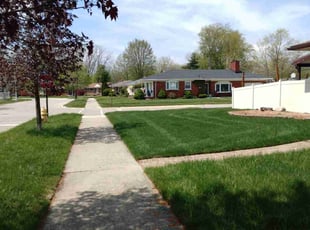 Geraldine C.'s Lawn Maintenance service result
