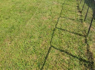 Shimika N.'s Lawn Service service result