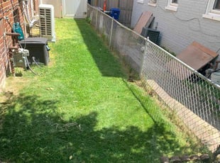 Monica G.'s Grass Cutting service result