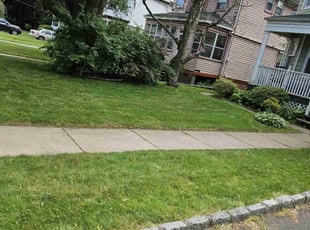 Keke J.'s Lawn Care service result