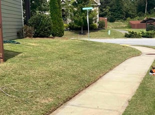Dwight B.'s Grass Cutting service result