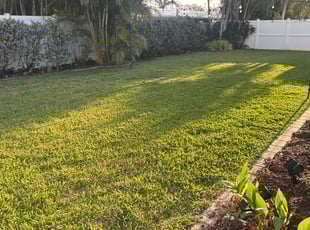 Stacia S.'s Lawn Care service result