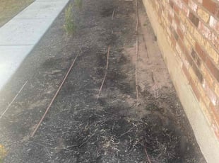 Weeding by Jason Bernal for Narshala P. in Austin, TX