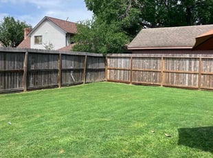 Lizbeth p.'s Yard Cutting service result