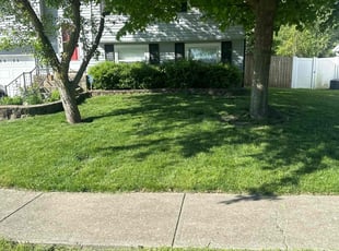 Pat K.'s Lawn Mowing service result