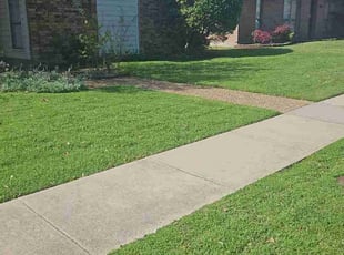 Michael B.'s Lawn Service service result