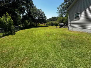Andre D.'s Grass Cutting service result