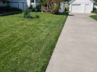 Bruce H.'s Lawn Mowing Service service result