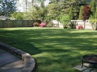 Kim M.'s Lawn Service service result
