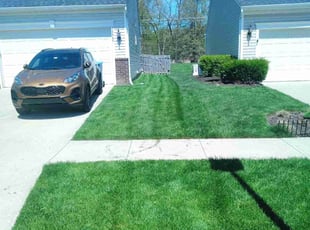 Erik J.'s Grass Cutting service result