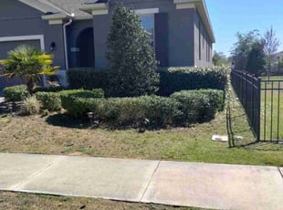 Weeding by Emanuel Kadyebo for Adam L. in CLERMONT, FL