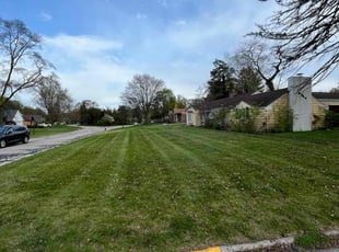 Cassandra M.'s Grass Cutting service result