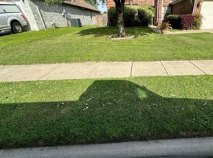 Cornelius D.'s Lawn Mowing Service service result