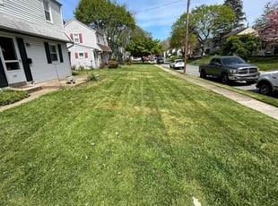 James P.'s Lawn Mowing service result