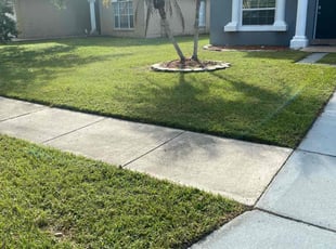 Judy N.'s Lawn Mowing service result