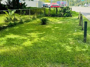 David M.'s Grass Cutting service result