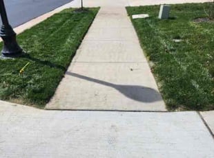 Brian S.'s Yard Cutting service result