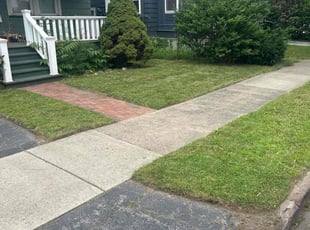 Lee H.'s Yard Cutting service result