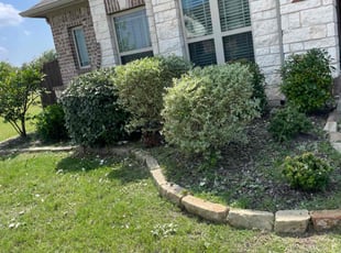 Bush Trimming by Adolfo Gonzalez Castaneda for Jae B. in Waxahachie, TX