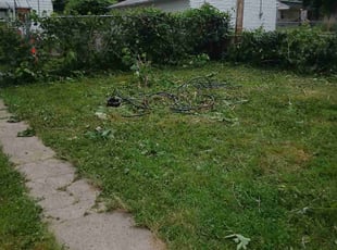 Bush Trimming by Dmarrio Gomiller for Lori S. in Belleville, IL