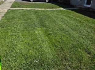 Teresa W.'s Lawn Mowing service result