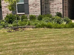 Weeding by Roy Robinson for Brittany C. in Fulshear, TX