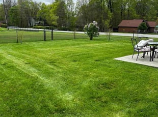 Matt D.'s Lawn Service service result