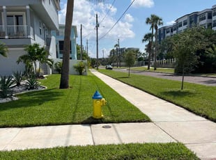 Mary H.'s Lawn Mowing service result