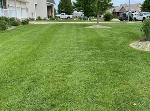 Anuj U.'s Lawn Maintenance service result