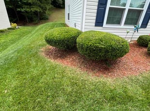 Bush Trimming by Quincy D. for Shanice W. in Charlotte, NC