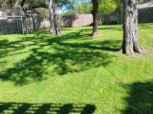 Jessica C.'s Yard Cutting service result