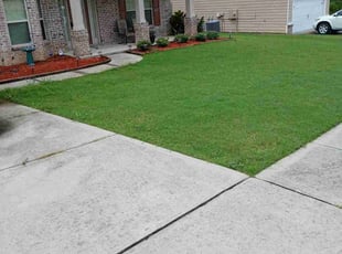 Marilyn S.'s Yard Cutting service result