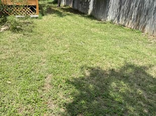 Tim B.'s Lawn Service service result