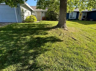 CD W.'s Lawn Mowing Service service result