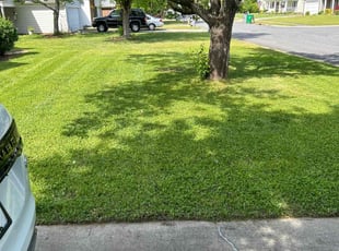 Josh T.'s Yard Cutting service result